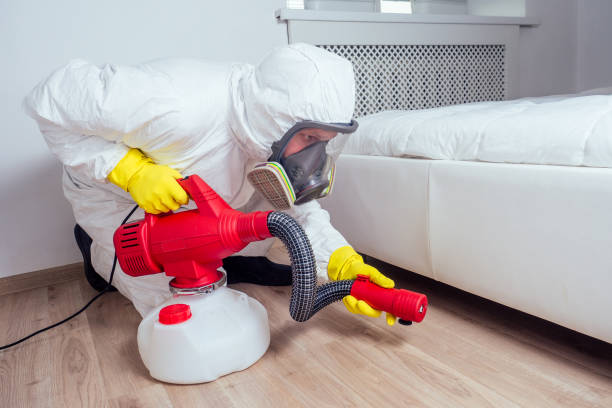 Best Pest Prevention Services  in Eastwood, LA